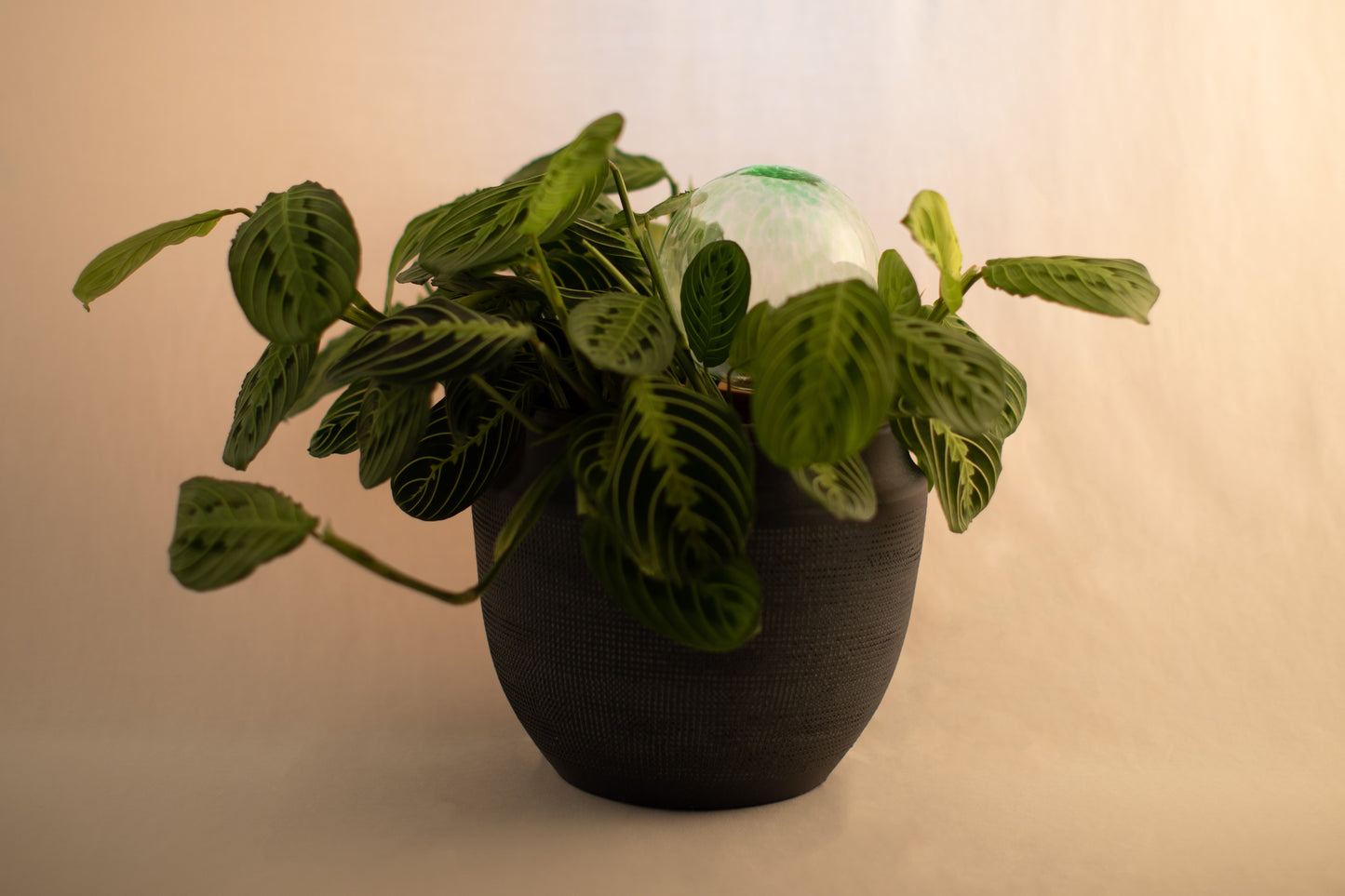 12CM EMERALD spring globe