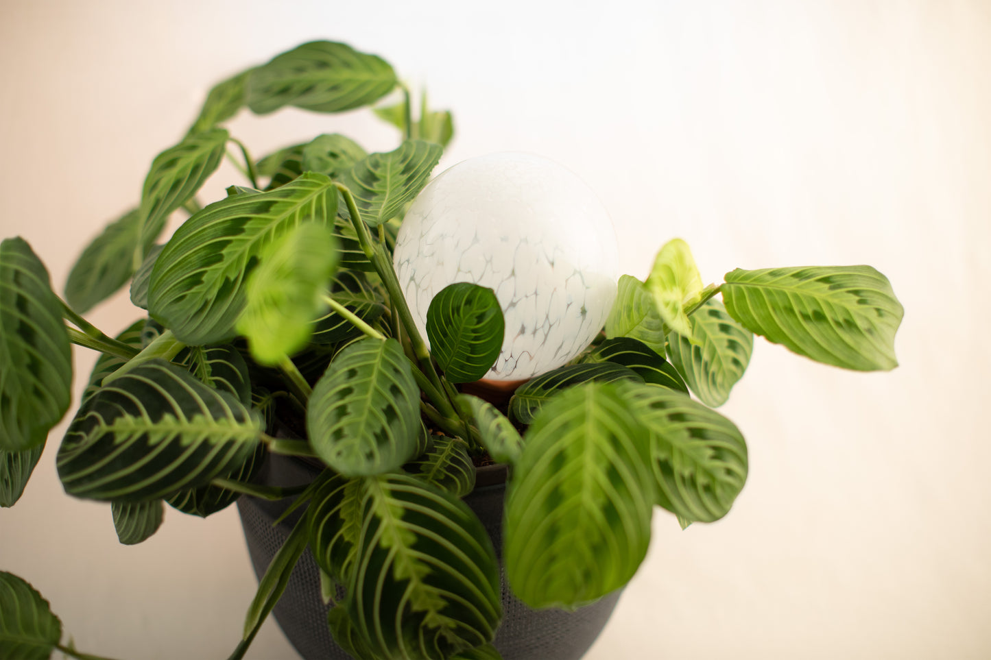 12CM CLOUD spring globe
