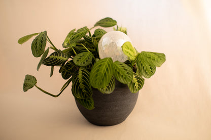 12CM CLOUD IRIDESCENT spring globe