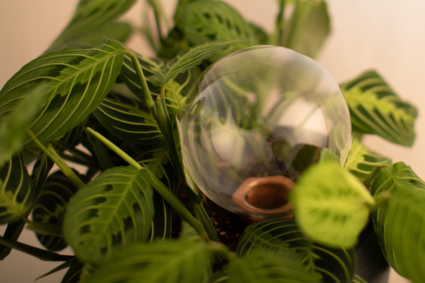 12CM CRYSTAL spring globe