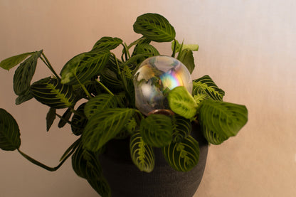 12CM CRYSTAL IRIDESCENT spring globe