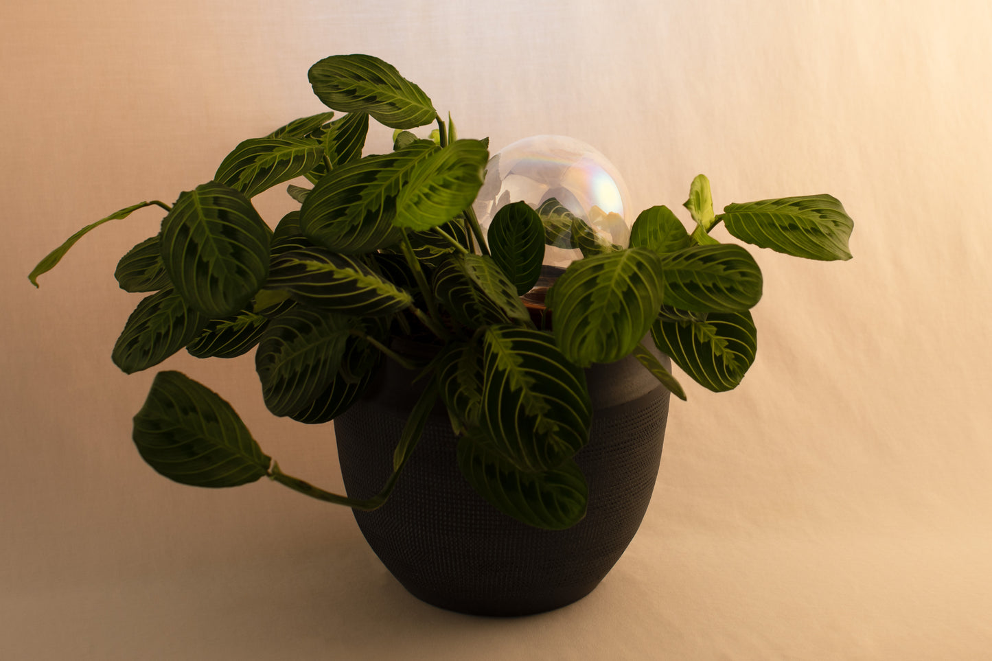 12CM CRYSTAL IRIDESCENT spring globe