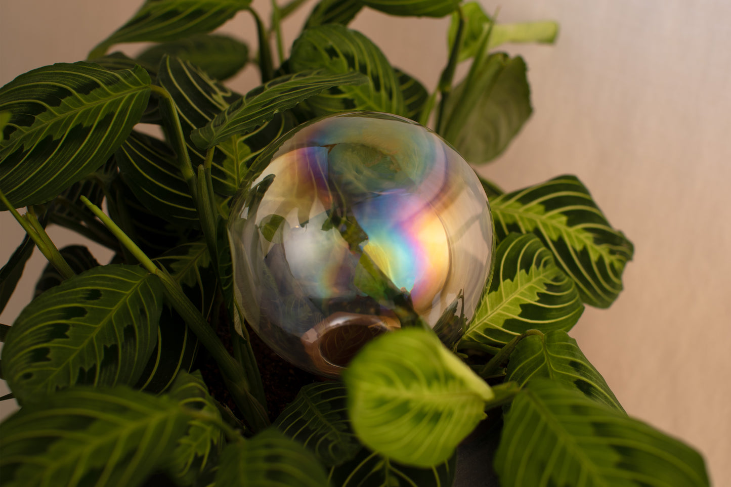 12CM CRYSTAL IRIDESCENT spring globe