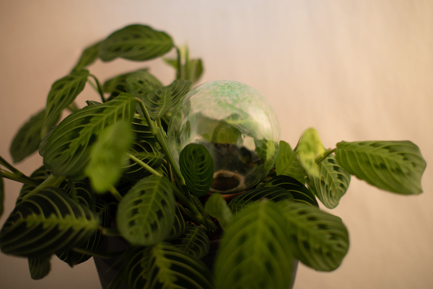 12CM EMERALD spring globe