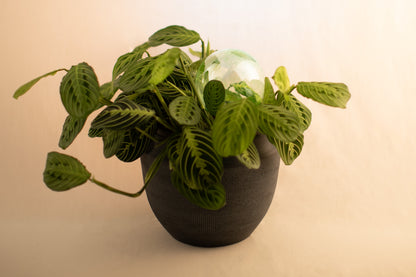 12CM EMERALD IRIDESCENT spring globe