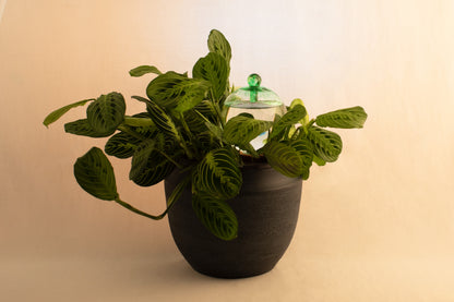 12CM EMERALD IRIDESCENT waterfall globe