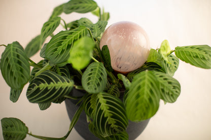12CM LILAC spring globe