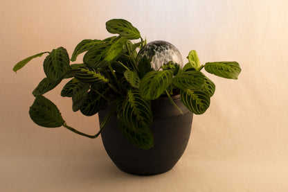 12CM ONYX spring globe