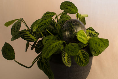 12CM ONYX spring globe