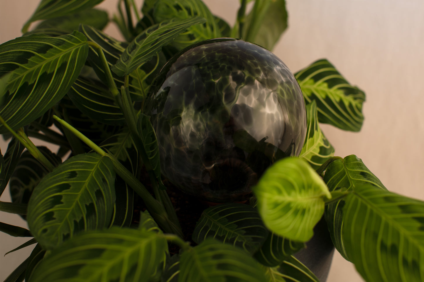 12CM ONYX spring globe