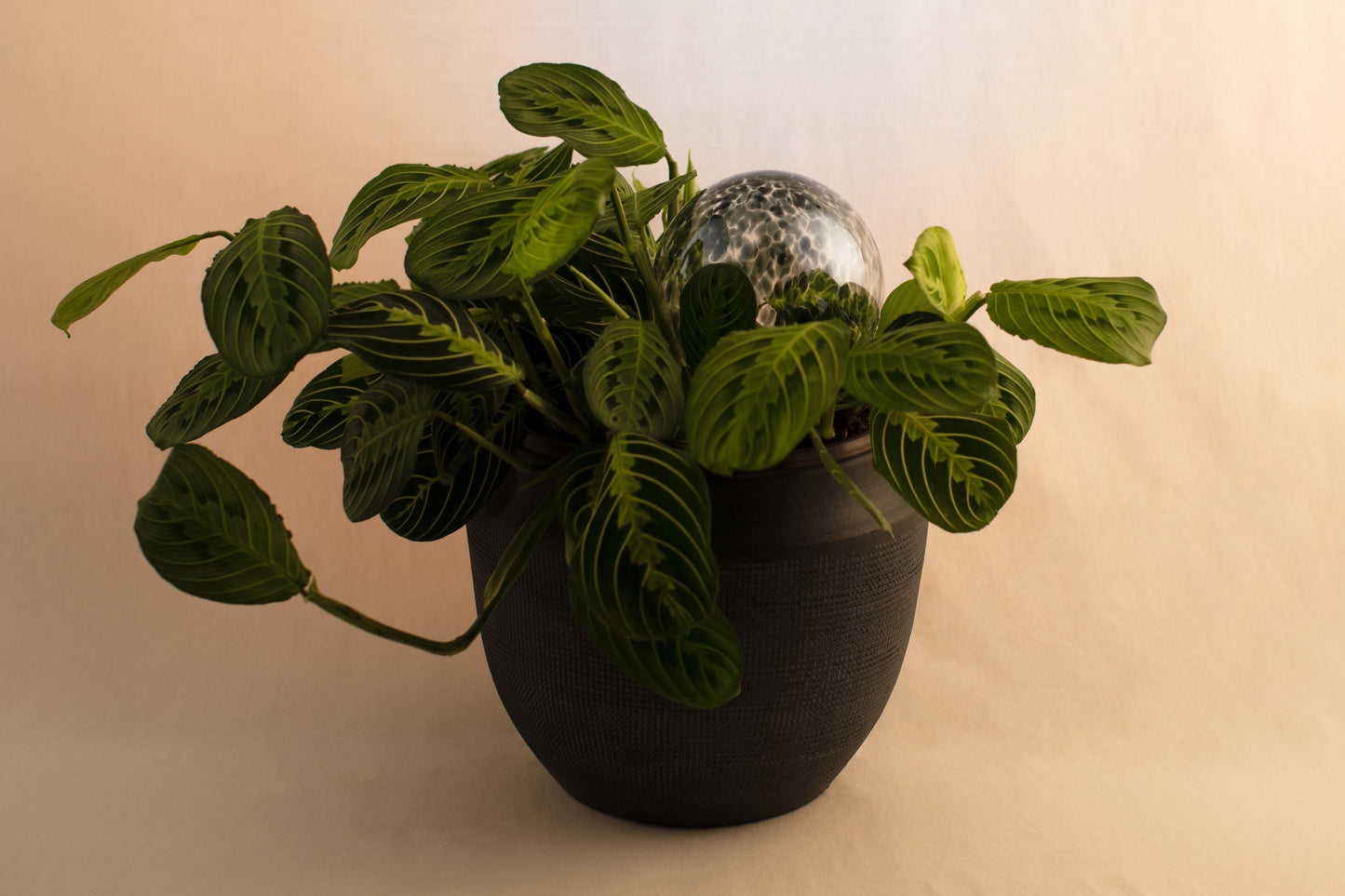 12CM ONYX IRIDESCENT spring globe