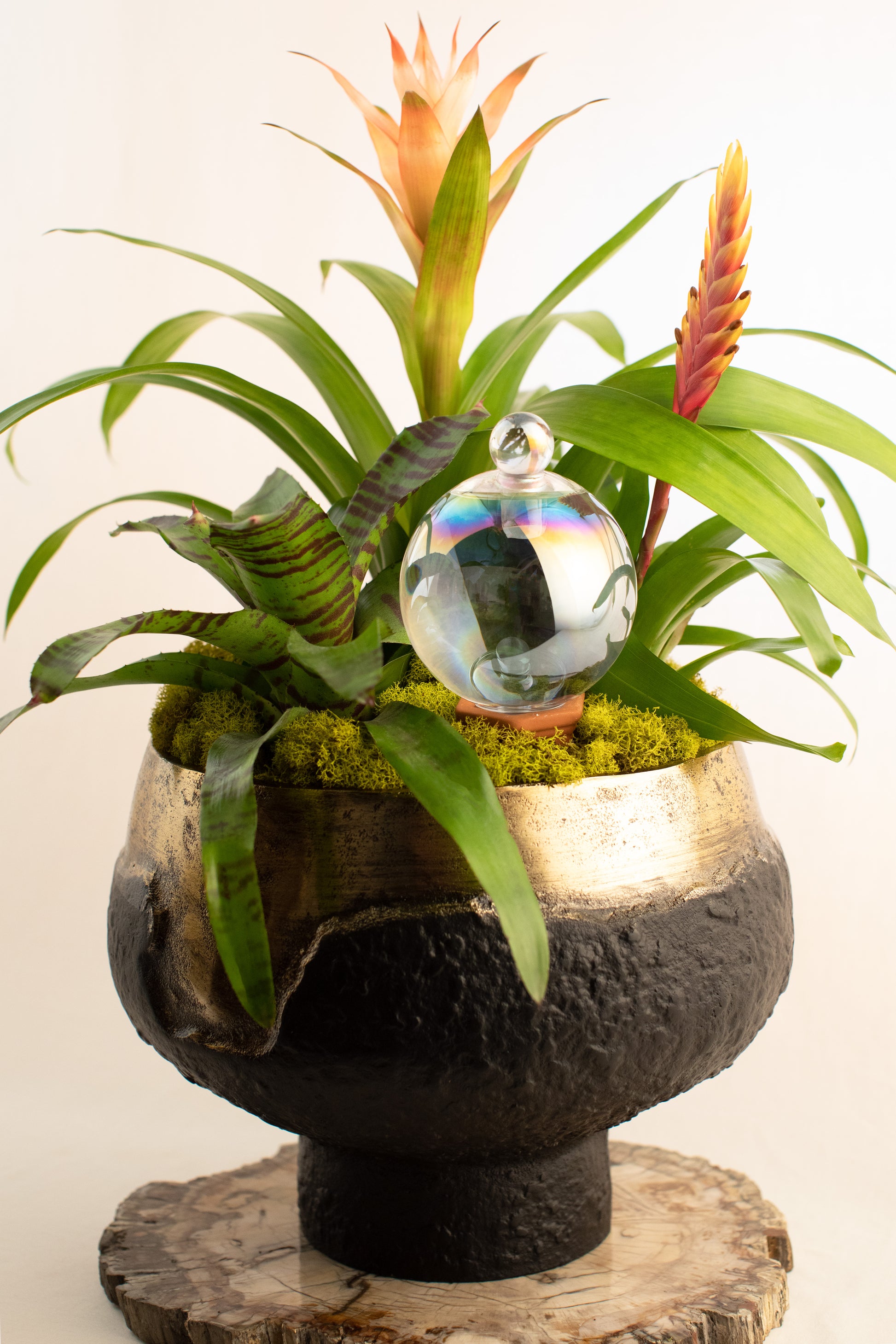 crystal shaped self-watering plant globe 9CM CRYSTAL IRIDESCENT waterfall globe – Sip Squad