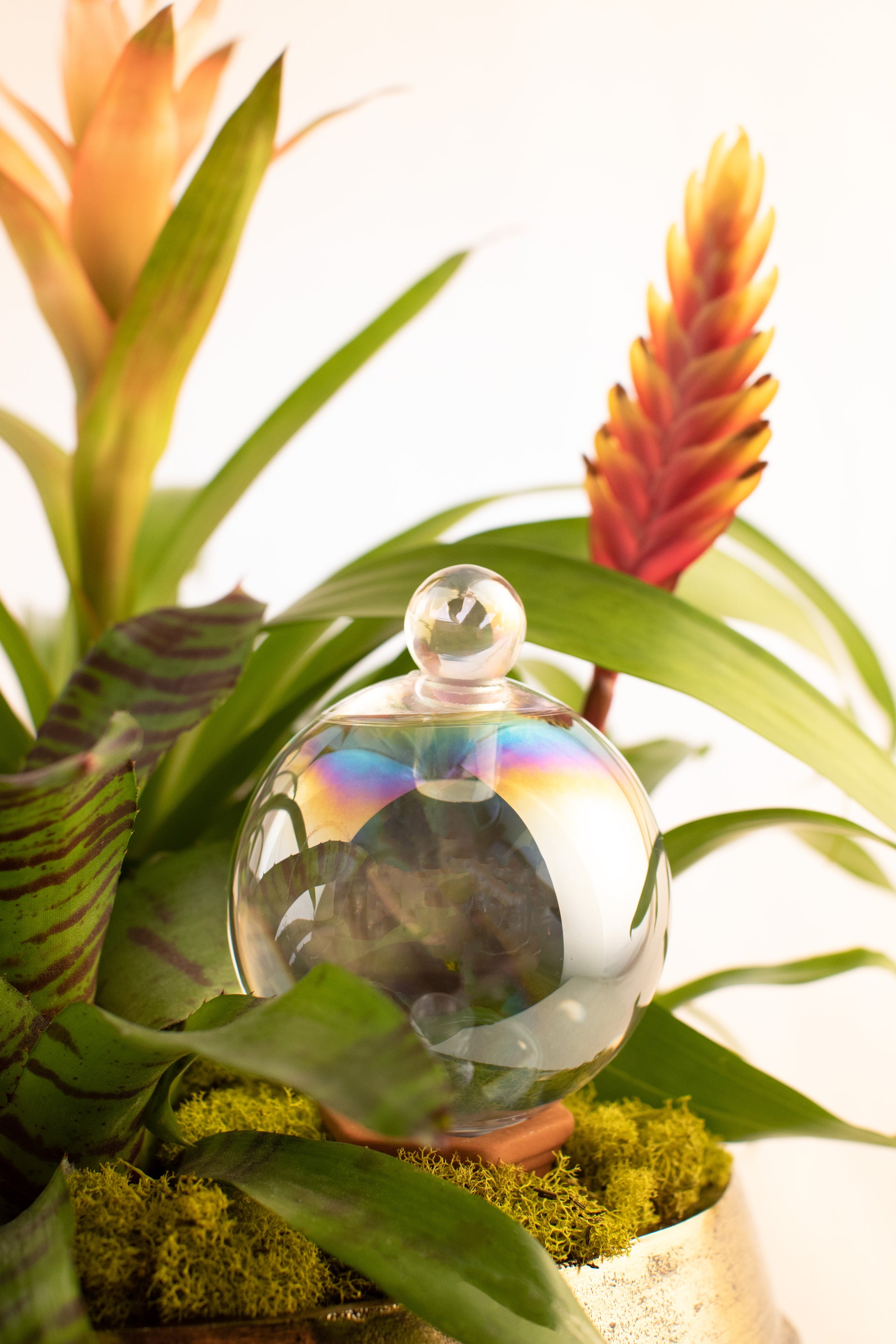 crystal shaped self-watering plant globe 9CM CRYSTAL IRIDESCENT waterfall globe – Sip Squad